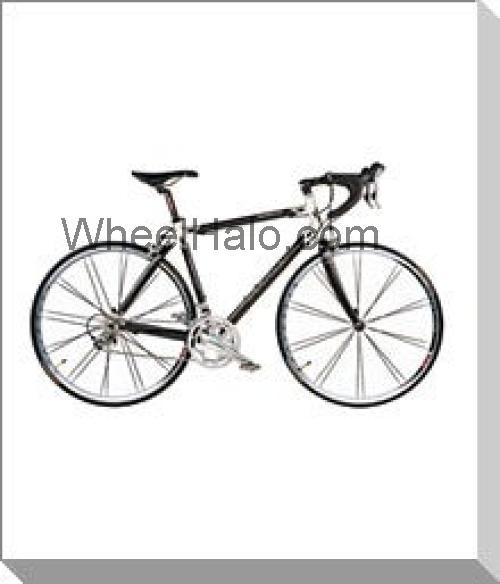 Titus Modena specs and reviews